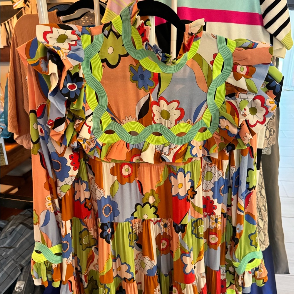 Celia B Coquelicot Dress worn once!